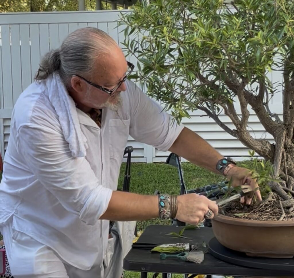 Bones Turnbow working on a mature bonsai during a ZealFish bonsai demonstration